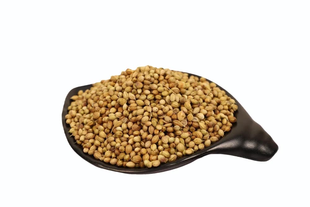 Coriander Seeds