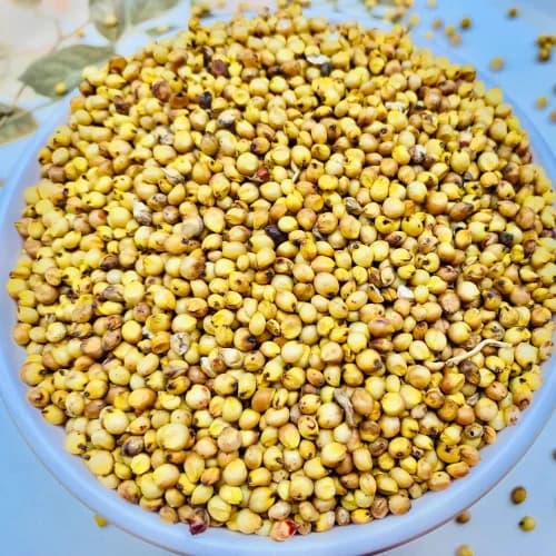 Sorghum (Jowar)