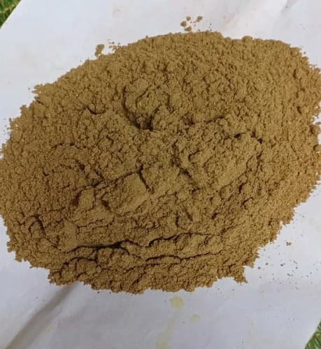 Coriander Powder