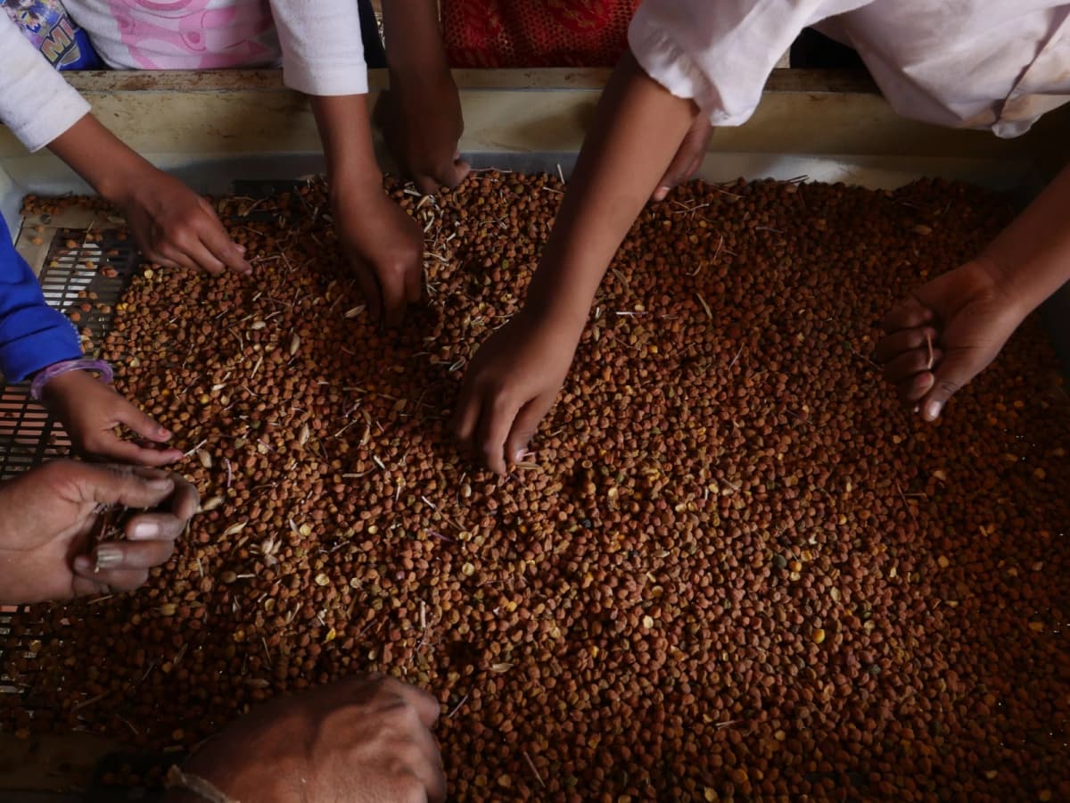 Post Harvest Management