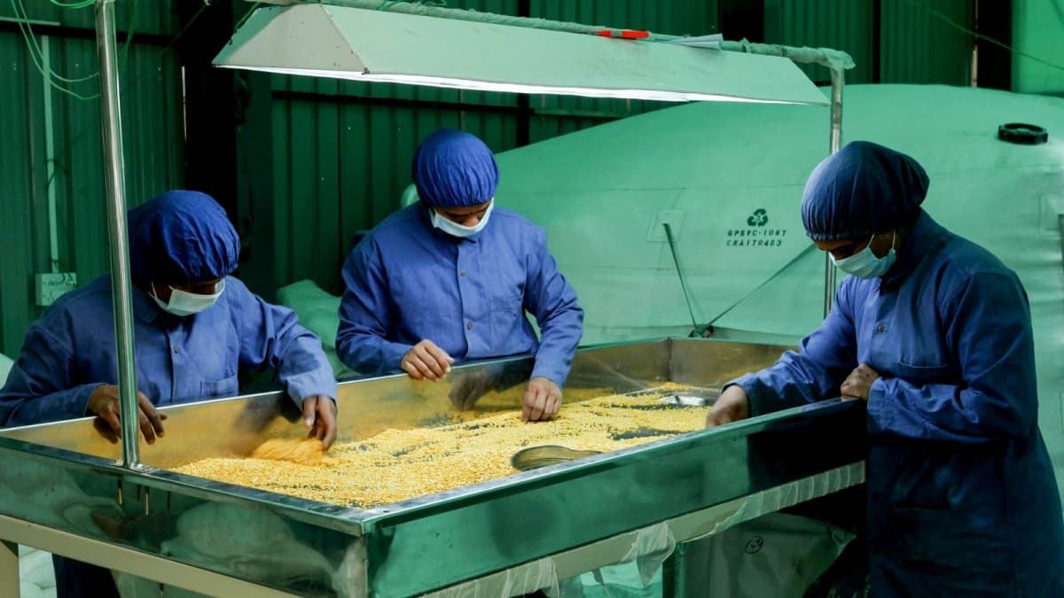 Value Addition, Storage, Processing & Packing