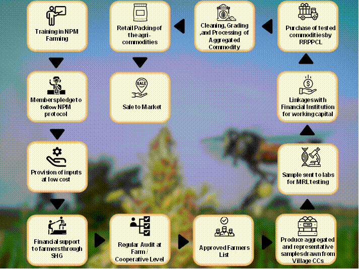 Business Model Overview