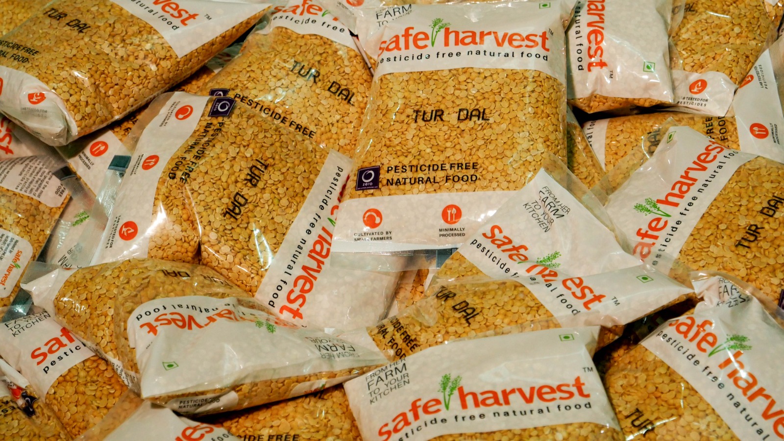 Step 8: Policy Advocacy and Future Vision