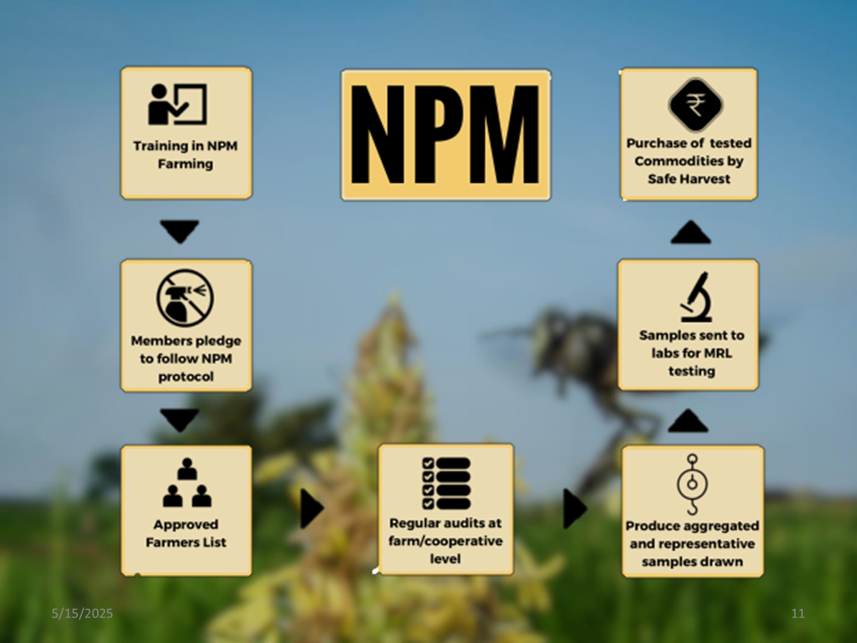 Sustainable Farming Field